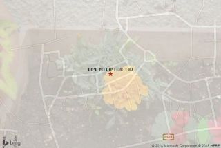 לוכד עכברים בכפר פינס