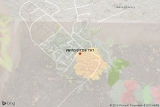 לוכד עכברים בחוקוק