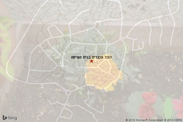 לוכד עכברים בבית השיטה