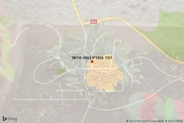 לוכד עכברים בנווה מיכאל