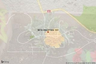 לוכד עכברים בנווה מיכאל