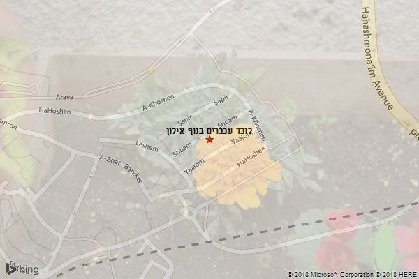 לוכד עכברים בנוף אילון