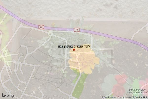 לוכד עכברים בקיבוץ גבת