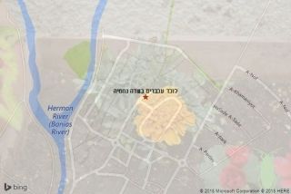 לוכד עכברים בשדה נחמיה