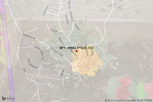 לוכד עכברים במצפה יריחו