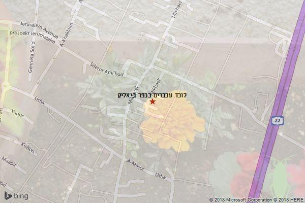 לוכד עכברים בכפר ביאליק