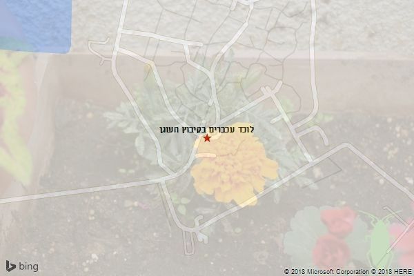 לוכד עכברים בקיבוץ העוגן