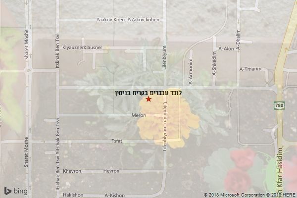 לוכד עכברים בקרית בנימין