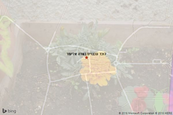 לוכד עכברים בשדה אליעזר