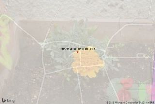 לוכד עכברים בשדה אליעזר