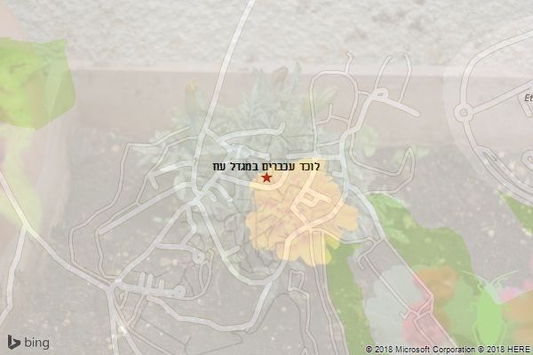 לוכד עכברים במגדל עוז