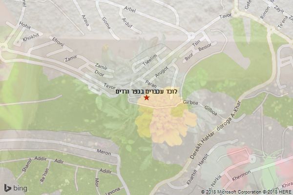 לוכד עכברים בכפר ורדים