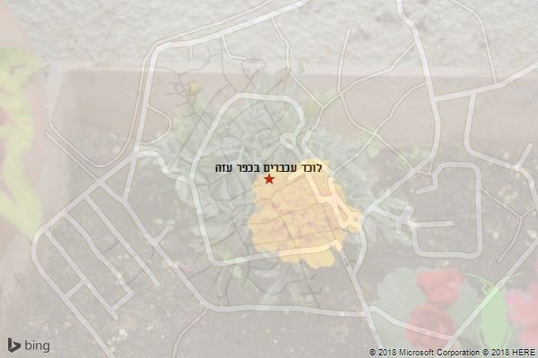 לוכד עכברים בכפר עזה