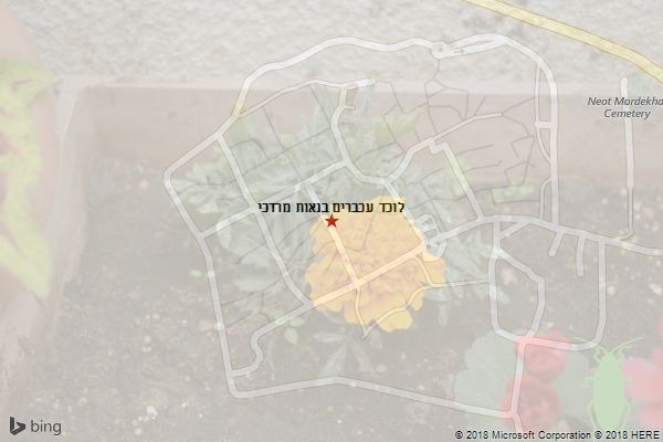 לוכד עכברים בנאות מרדכי