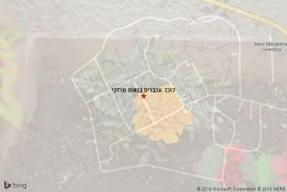 לוכד עכברים בנאות מרדכי