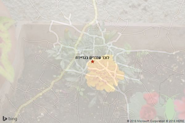 לוכד עכברים בגדיידה