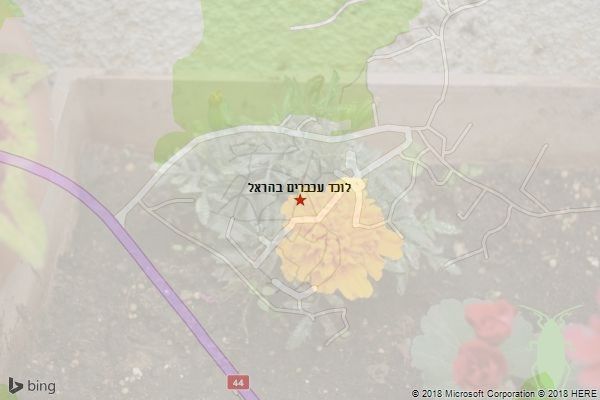 לוכד עכברים בהראל