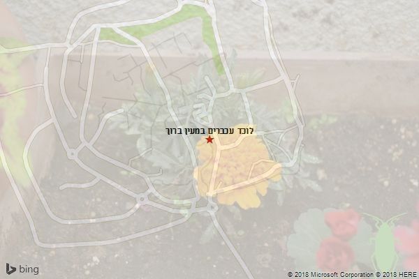 לוכד עכברים במעין ברוך