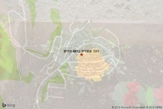 לוכד עכברים בראש צורים