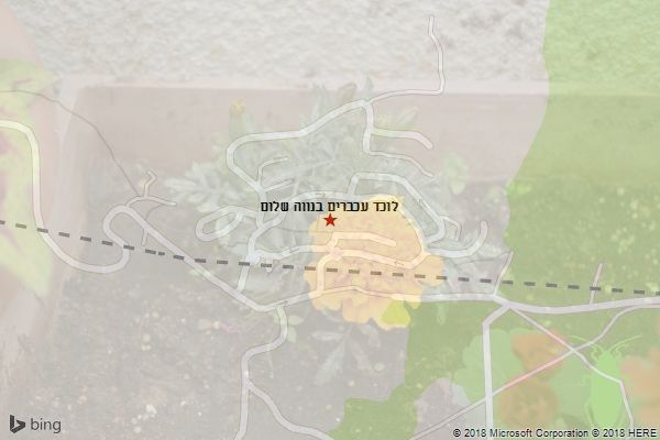 לוכד עכברים בנווה שלום