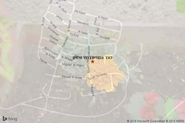 לוכד עכברים בכפר חיטים