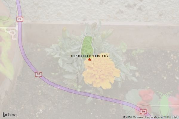 לוכד עכברים במחנה יבור