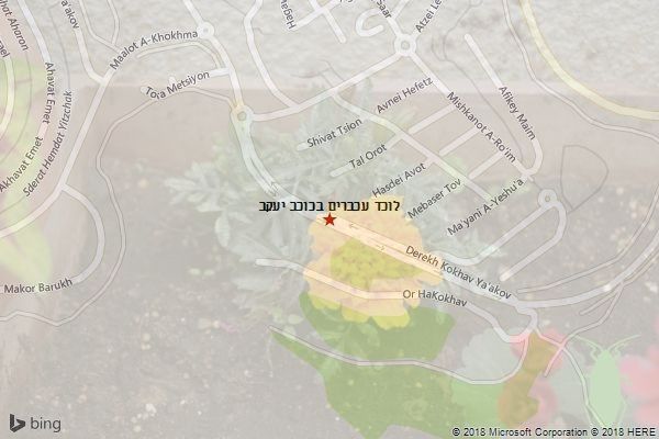 לוכד עכברים בכוכב יעקב