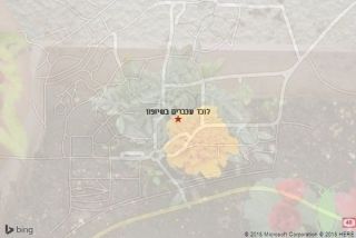 לוכד עכברים בשיזפון