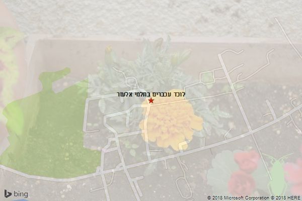 לוכד עכברים בתלמי אלעזר