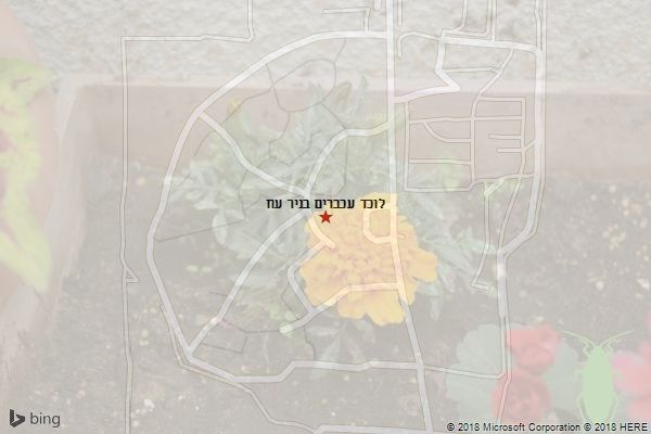 לוכד עכברים בניר עוז