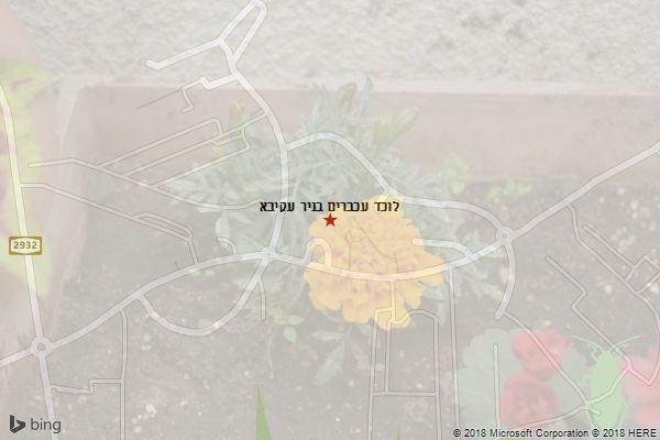 לוכד עכברים בניר עקיבא