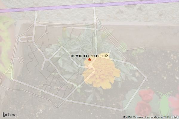 לוכד עכברים בנווה איתן