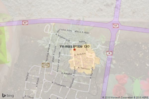 לוכד עכברים בגנות הדר