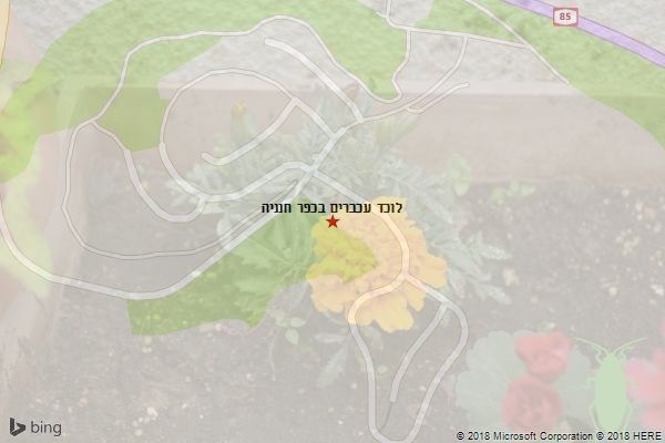 לוכד עכברים בכפר חנניה