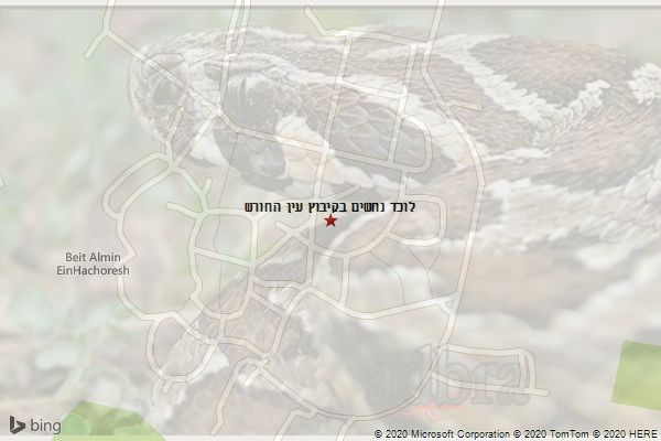 לוכד נחשים בקיבוץ עין החורש