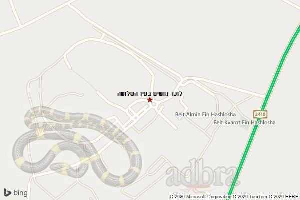 לוכד נחשים בעין השלושה