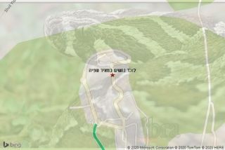 לוכד נחשים במאיר שפיה