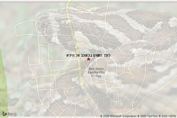 לוכד נחשים בכאוכב אל היג׳א