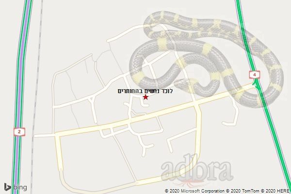 לוכד נחשים בהחותרים