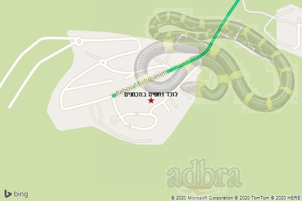 לוכד נחשים במכמנים