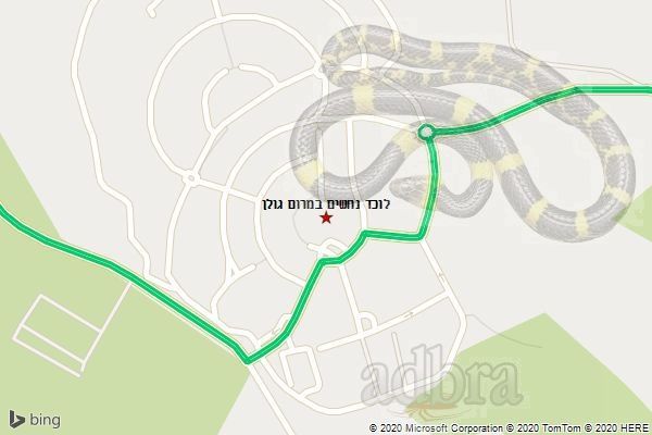 לוכד נחשים במרום גולן