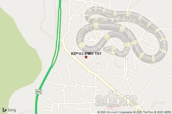 לוכד נחשים בעיילבון