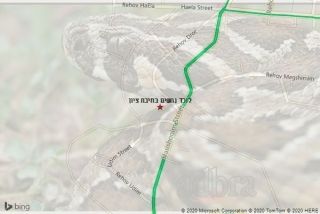 לוכד נחשים בחיבת ציון