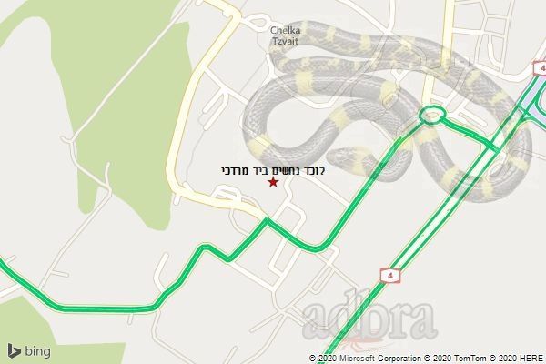 לוכד נחשים ביד מרדכי