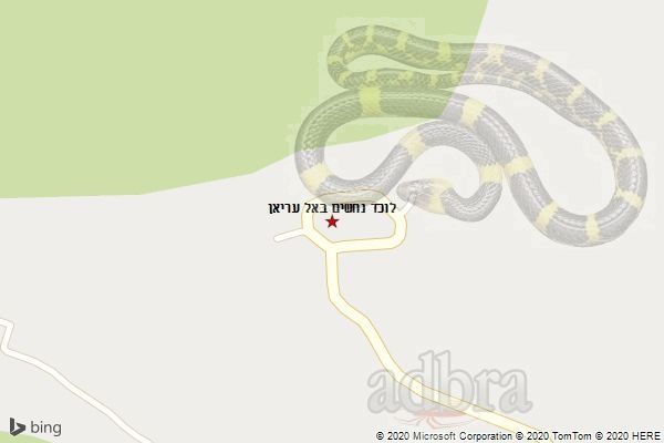 לוכד נחשים באל עריאן