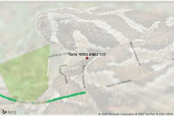 לוכד נחשים בתלמי אלעזר