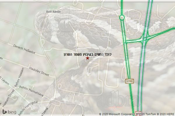 לוכד נחשים בקיבוץ משמר השרון