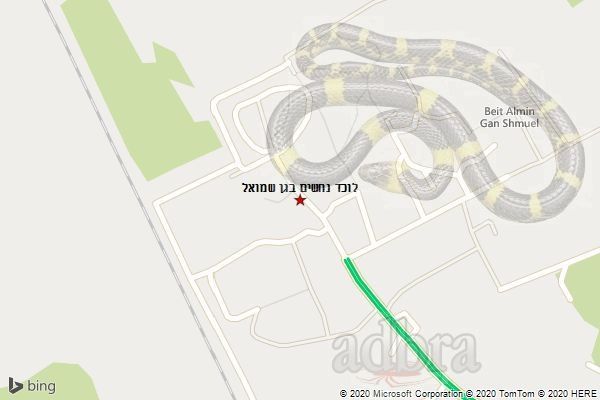 לוכד נחשים בגן שמואל