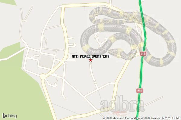 לוכד נחשים בקיבוץ גדות