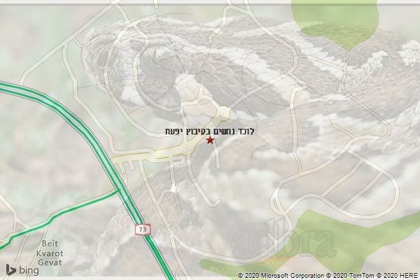 לוכד נחשים בקיבוץ יפעת